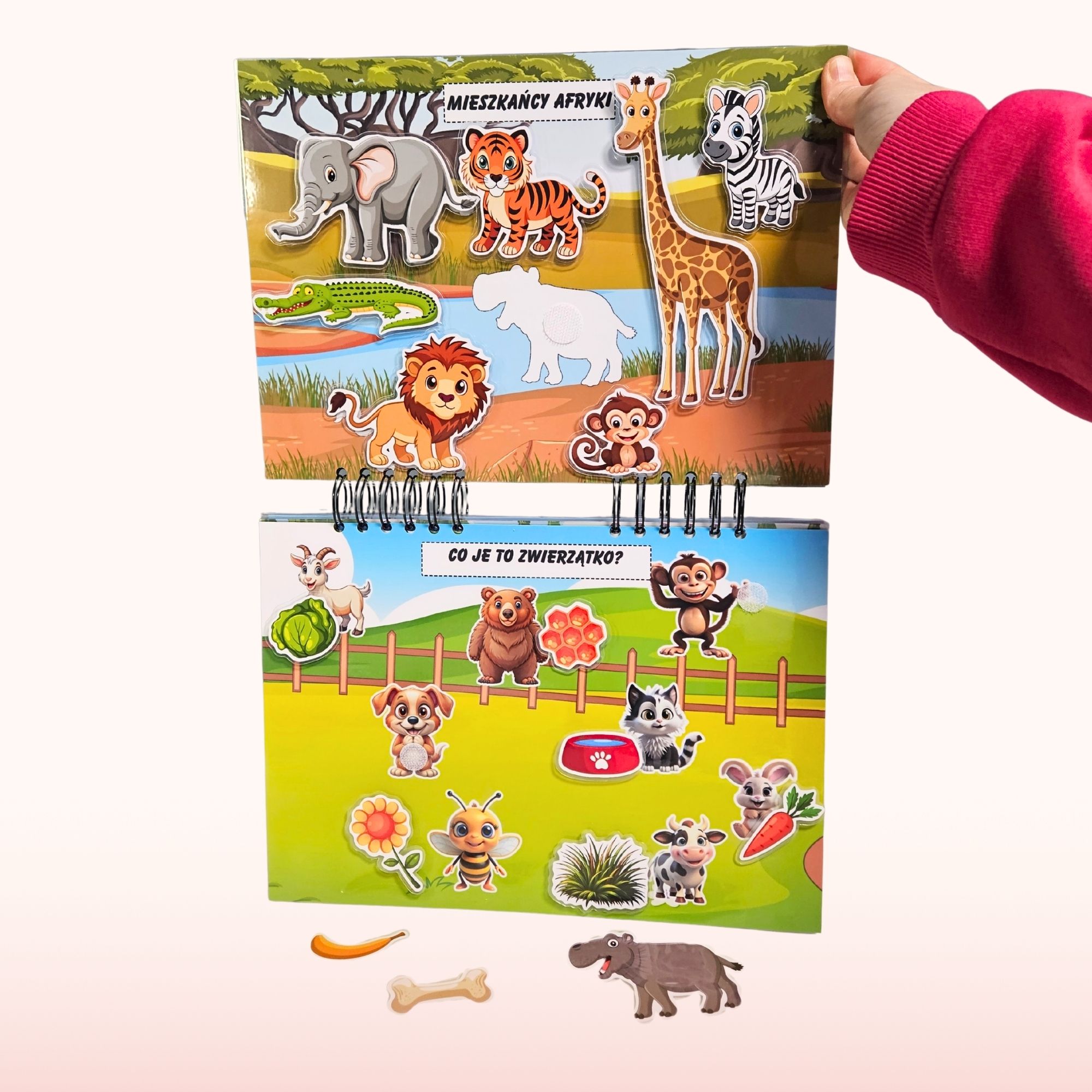 ZABAWA NA RZEPY - obrazek 3