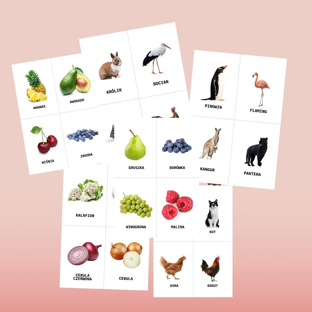 EDYKACYJNE KARTY DLA MAŁUCHÓW OD 6m do 3 lat - obrazek 2